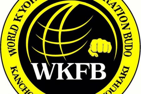 مصاحبه با مشاور رسانه ای سازمان جهانی کیوکوشین کاراته wkfb ‌در ایران